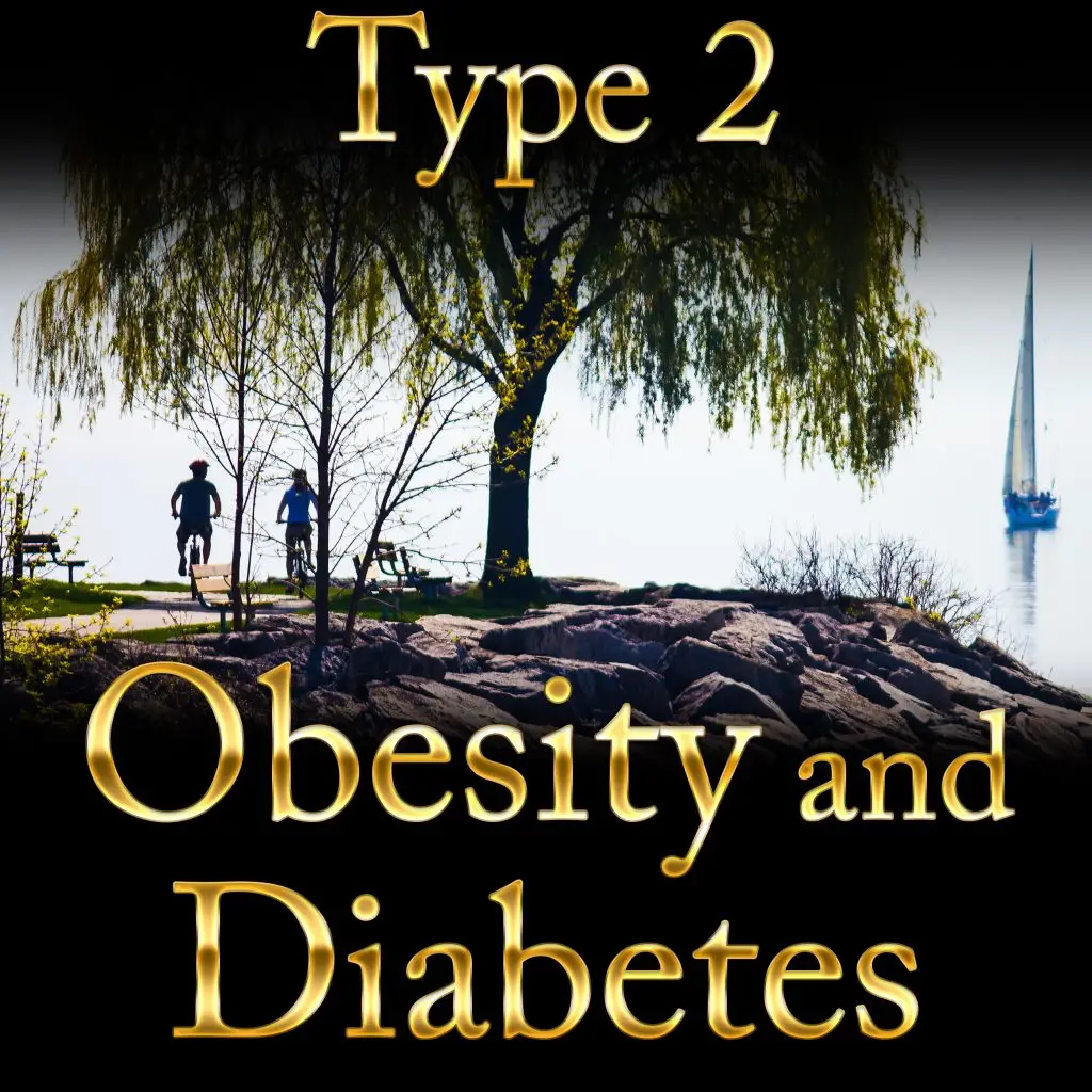 Ashforma Type2 Obesity And Diabetes